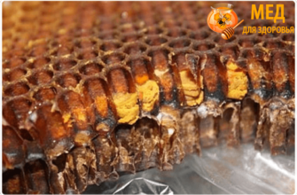 перга в сотах