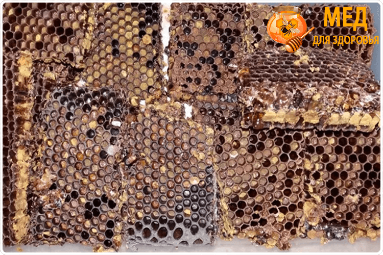соты пчелиные