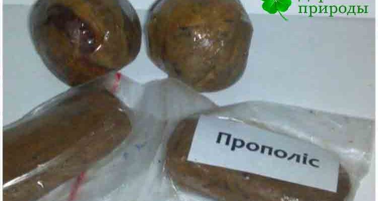 прополис свойства